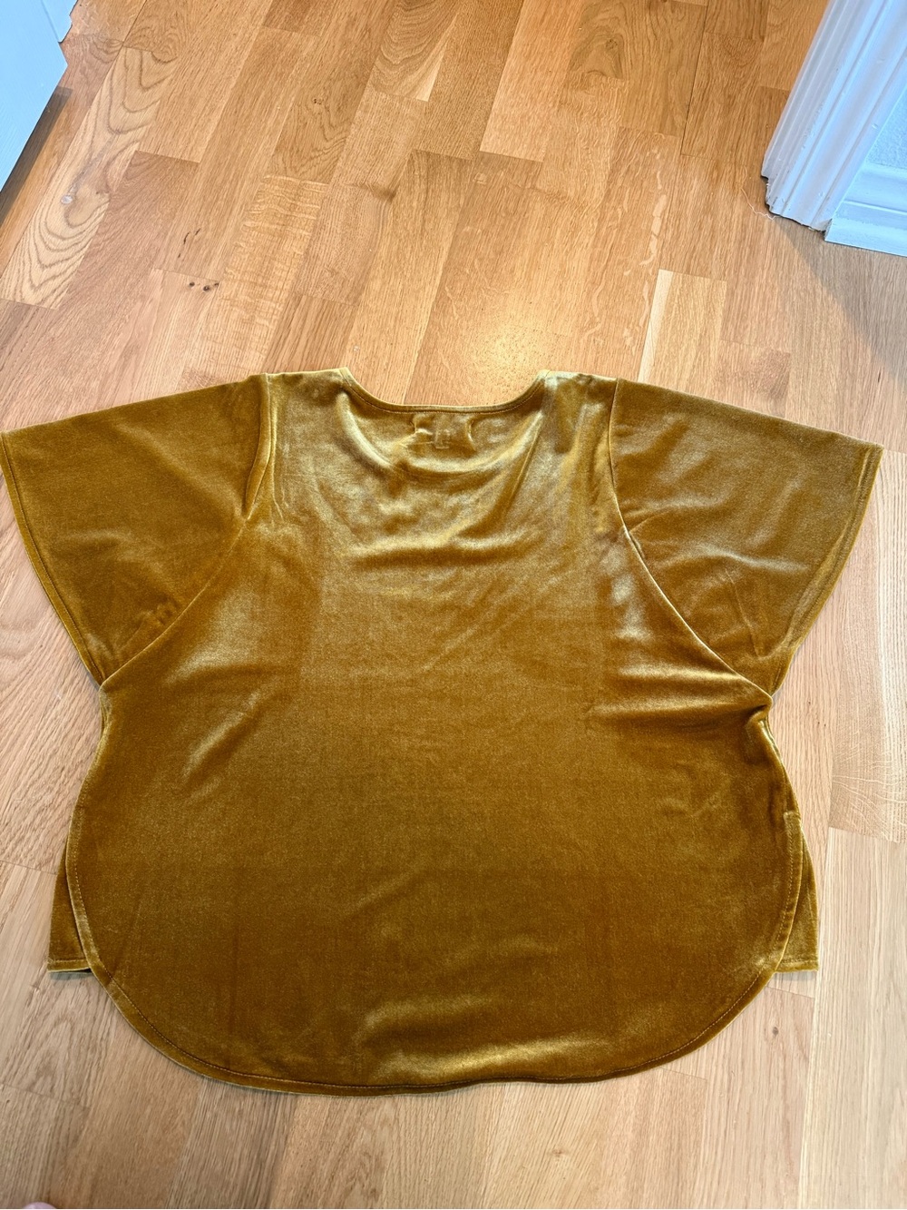 Madewell Velvet Short Sleeve Top in Mustard Gold - Picture 9 of 10